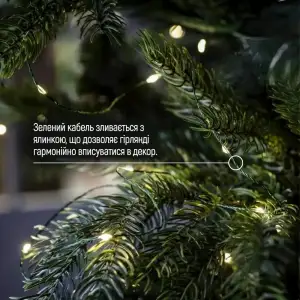 Світлодіодна гірлянда ColorWay (CW-G-100L10NU) 100LED, 10м, 8 функцій, теплий колір USB UA