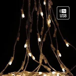 Світлодіодна гірлянда ColorWay (CW-G-126L91CU) 126LED, 9x1.5м, 8 функцій, теплий колір USB UA