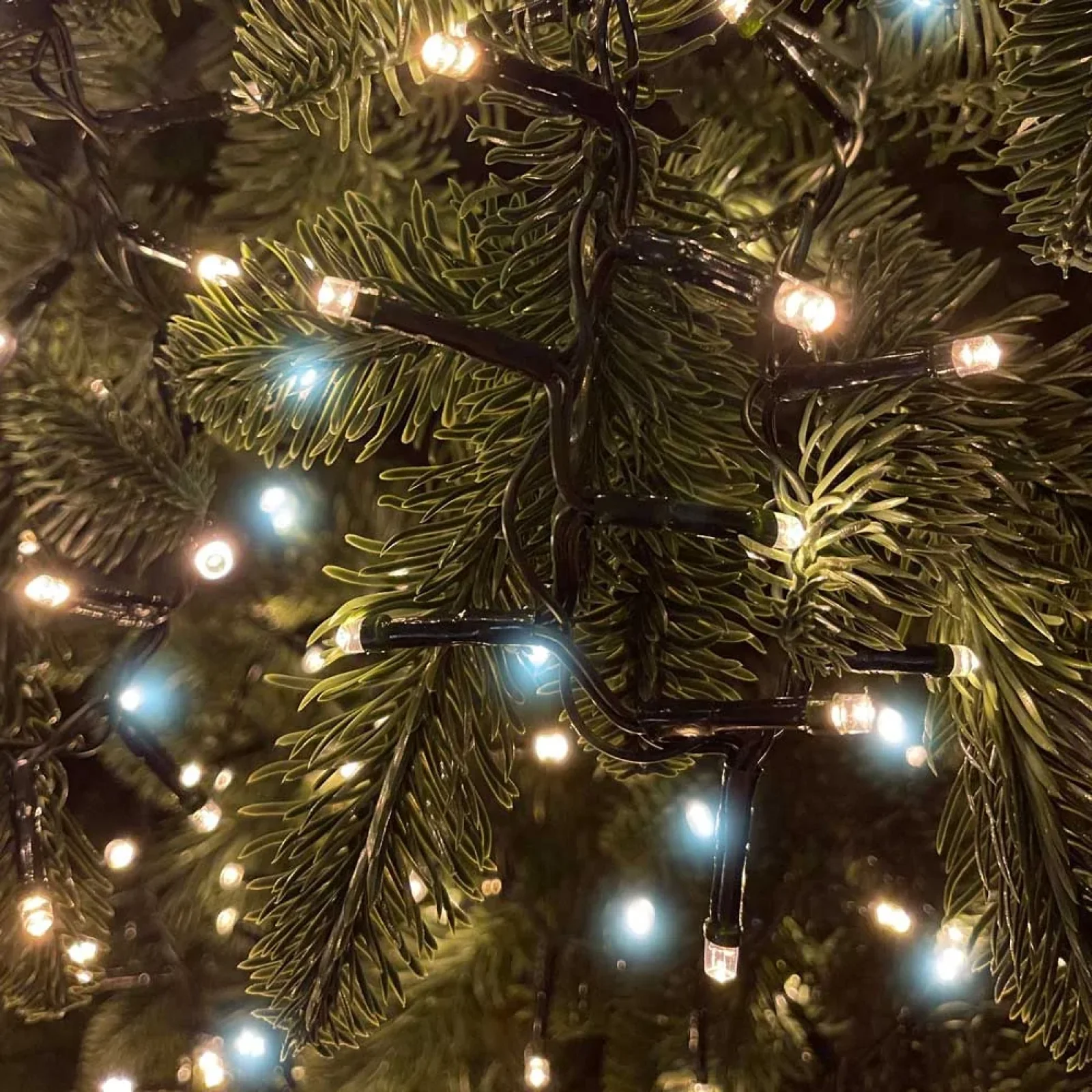 Світлодіодна гірлянда ColorWay (CW-G-250L5VMC) 250LED, 5м, (150 теплий статичний+100 білий водоспад) 220V UA