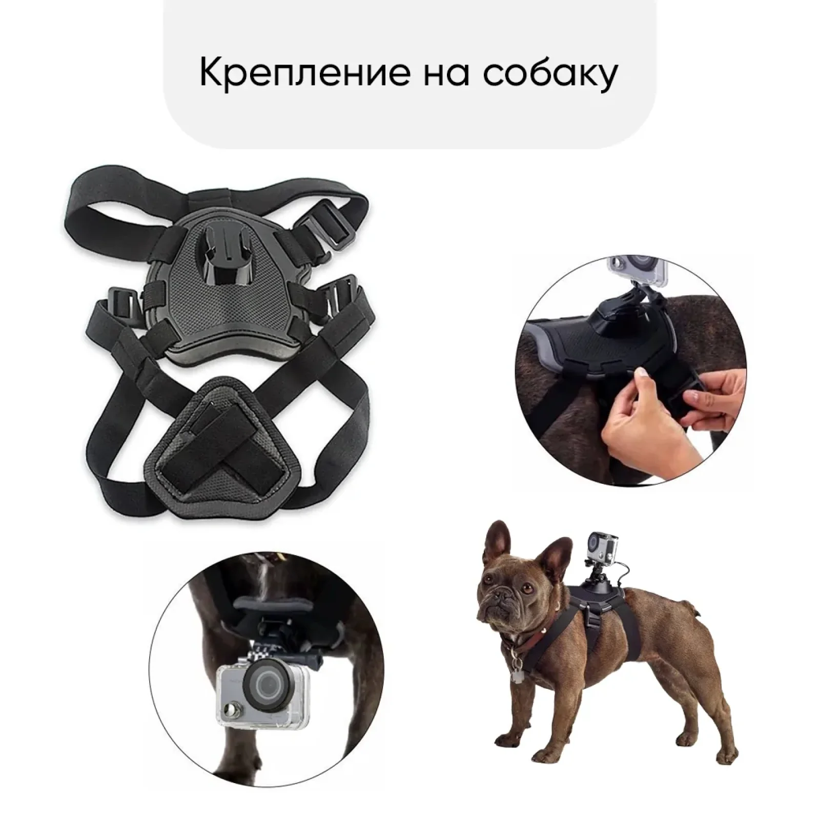 Набір кріплень AIRON ACS-3 на собак для екшн-камер AIRON, GoPro, SONY, ACME, Xiaomi, SJCam, EKEN, ThiEYE UA