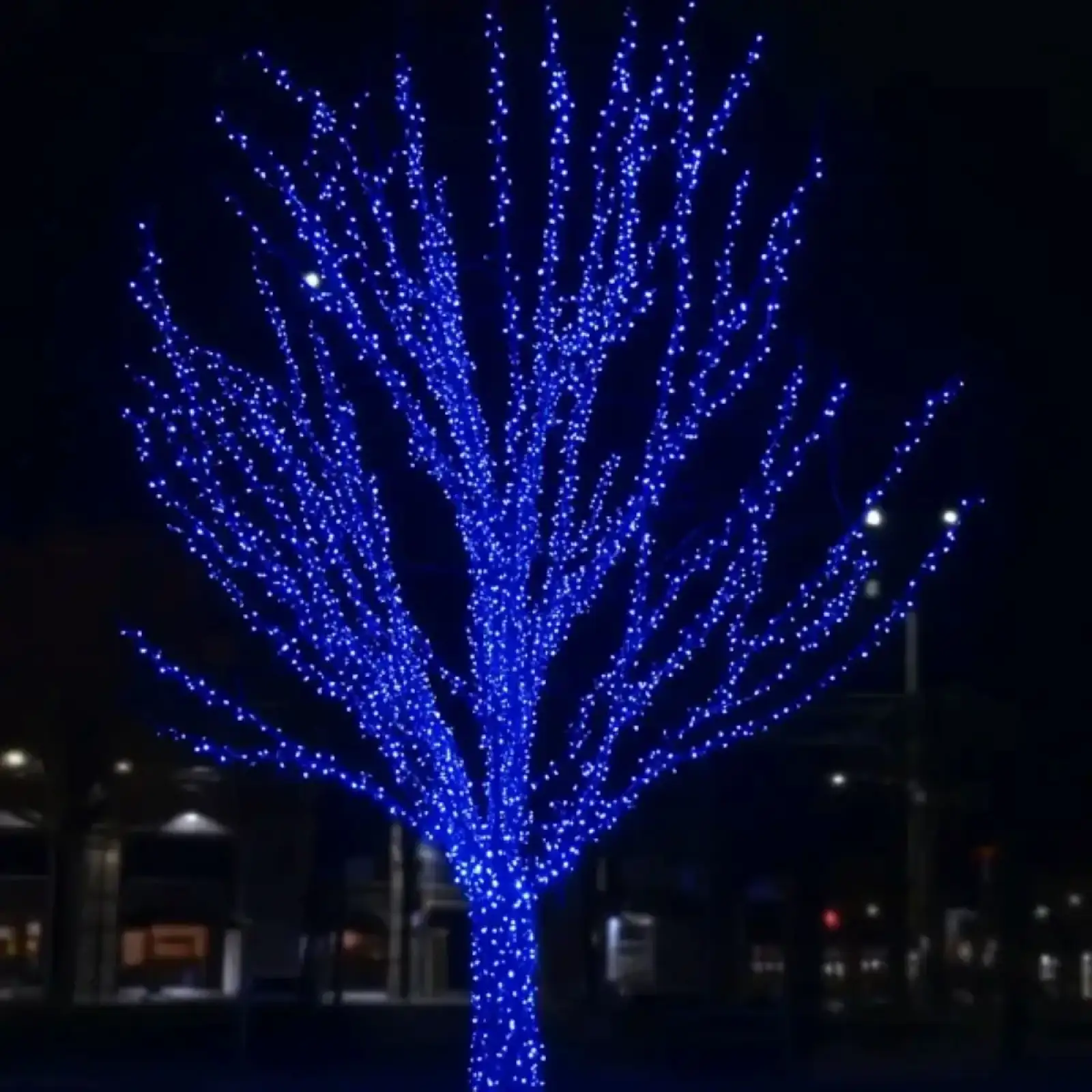 Гірлянда Нитка вулична 30 (м) 300 LED чорний провід Синій CF300L30MBBL Garlando UA