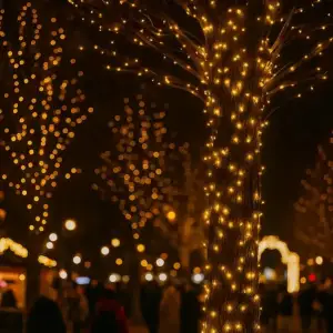 Гірлянда Нитка вулична 30 (м) 300 LED чорний провід Жовтий CF300L30MBY Garlando UA