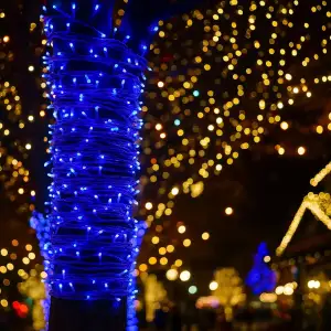 Гірлянда Нитка вулична 30 м 300 LED білий провід Синій CF300L30MWBL Garlando UA