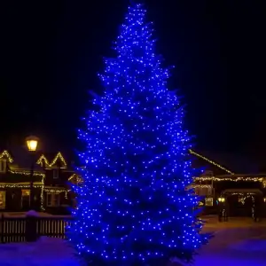 Гірлянда Різдвяна фея вулична 50 (м) 500 LED чорний провід Синій CF500L50MBBL Garlando UA