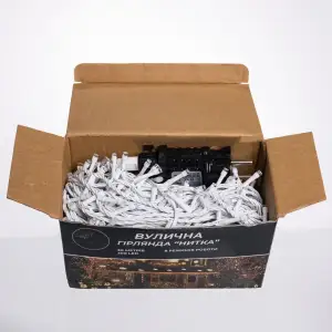 Гірлянда Нитка вулична 30 м 300 LED білий провід Синій CF300L30MWBL Garlando UA