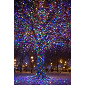 Гірлянда Різдвяна фея вулична 100 м 1000 LED білий провід Мультиколір CF1000L100MWML Garlando UA
