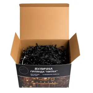 Гірлянда Різдвяна фея вулична 100 (м) 1000 LED чорний провід Мультиколір CF1000L100MBML Garlando UA