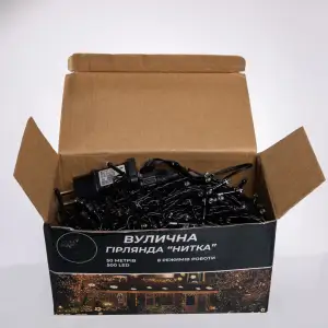 Гірлянда Різдвяна фея вулична 50 (м) 500 LED чорний провід Білий CF500L50MBW Garlando UA