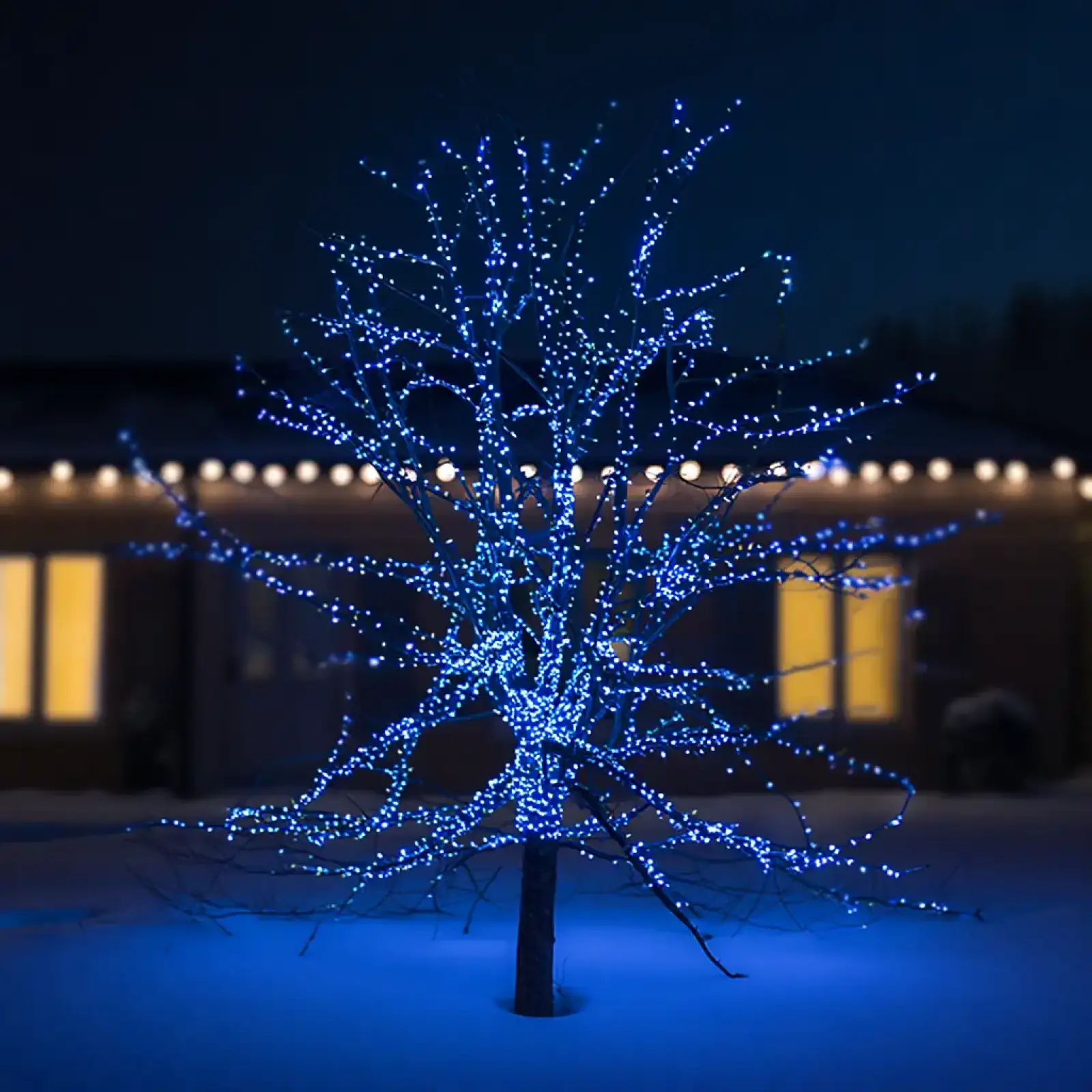 Новорічна гірлянда вулична 100 м 1000 LED із сонячною батареєю 8 режимів роботи чорний провід Синій SB1000L100MBBL Garlando UA