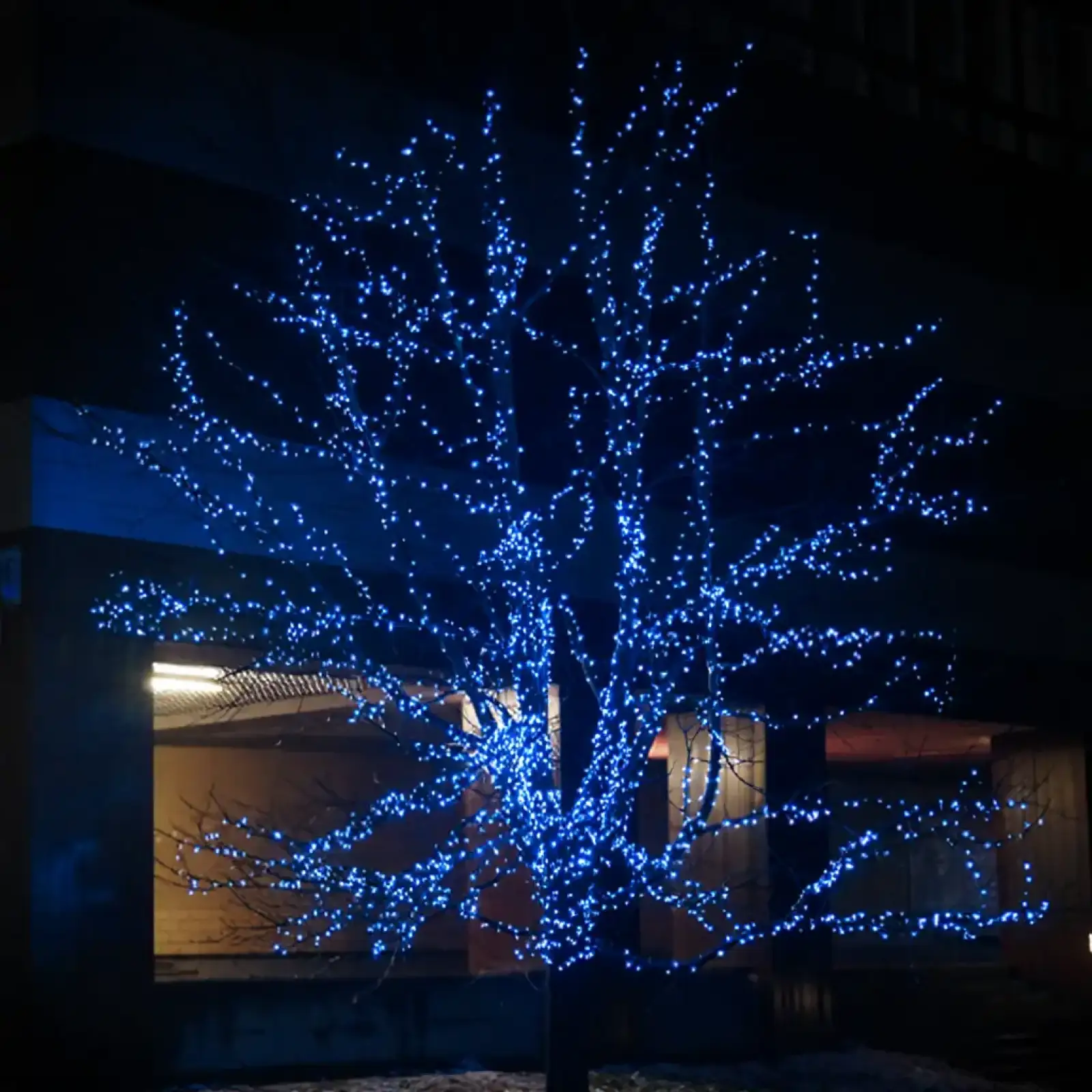 Новорічна гірлянда вулична 100 м 1000 LED із сонячною батареєю 8 режимів роботи чорний провід Синій SB1000L100MBBL Garlando UA