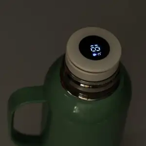 Термос Vacuum з датчиком температури на 820 мл м'ятний HP-14-55M Yiwu UA