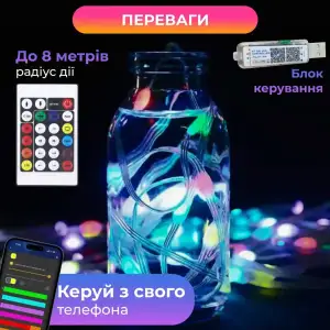 Умная гирлянда Smart 250 LED длина 2,5 м с управлением смартфона прозрачная, мультиколор 1733044W Garlando UA