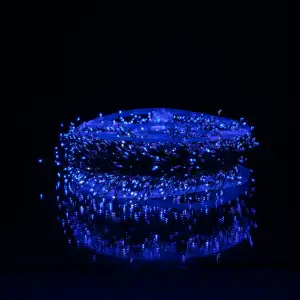 Новорічна гірлянда Хвойна лапа кімнатна роса 100 м 3000 LED зелений провід Синє сяйво D3000L100MGBL Garlando UA