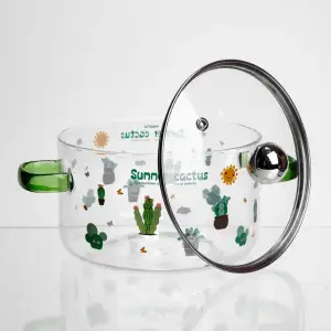 Каструля з боросилікатного скла Summer Cactus 1,8 л Yiwu HP-GP-37 UA