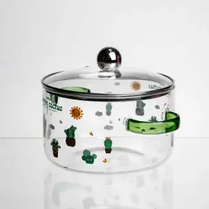 Каструля з боросилікатного скла Summer Cactus 1,8 л Yiwu HP-GP-37 UA