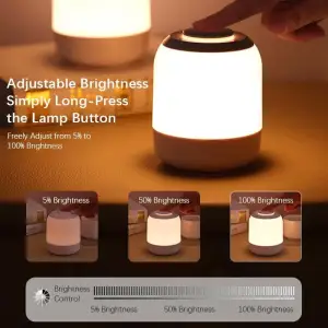 Настільний сенсорний LED світильник 3 colour light MZ-L2701 Pink