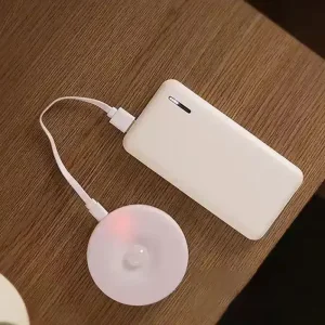 Сенсорний світильник LED з датчиком руху MZ-L803 White light