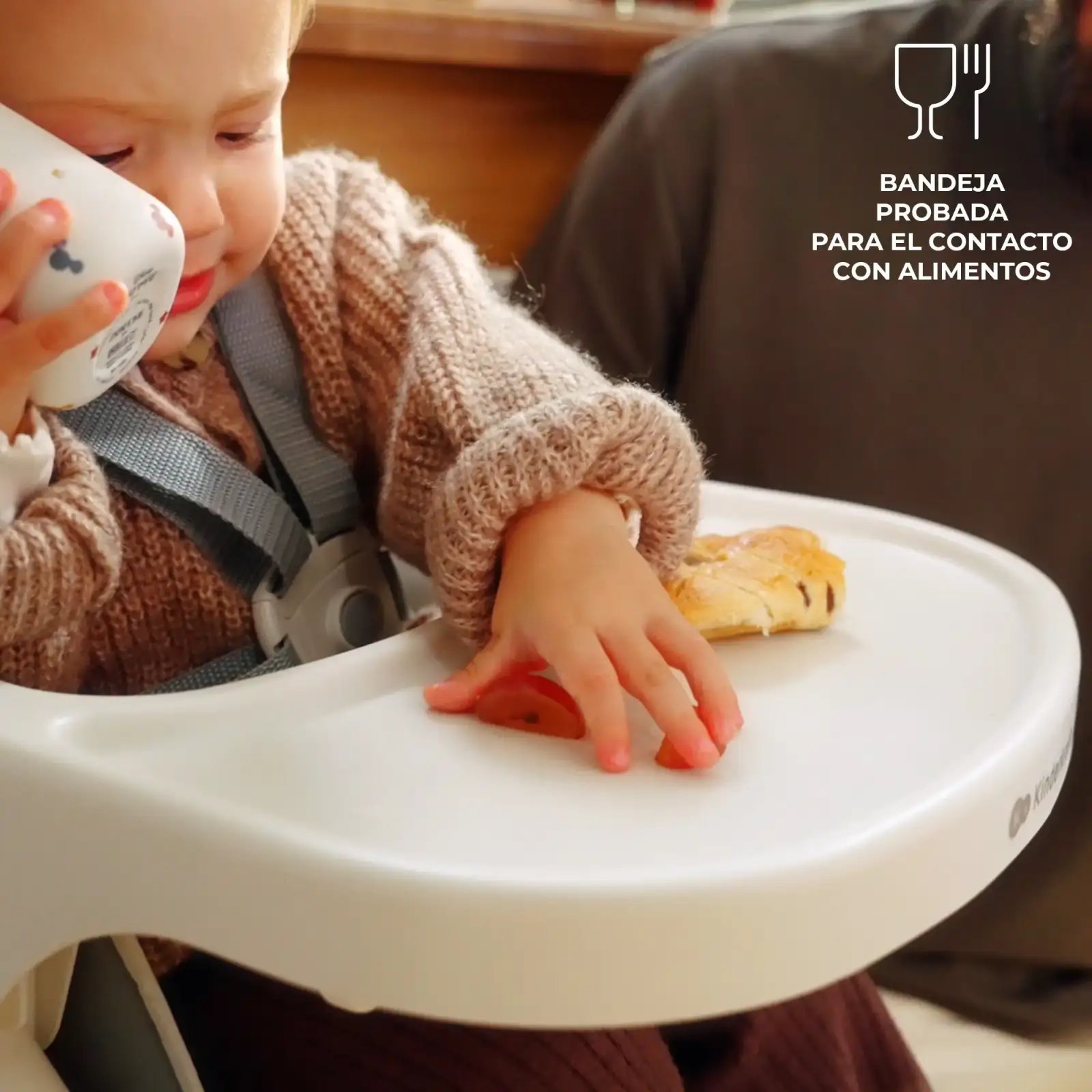Стульчик для кормления Kinderkraft Dinnly Grey (KHDINN00LGR0000)