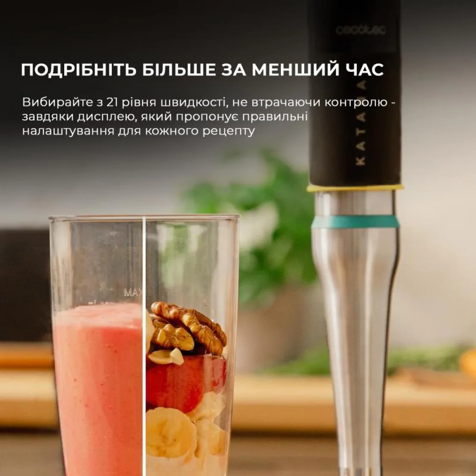 Блендер CCTC-03978 CECOTEC UA