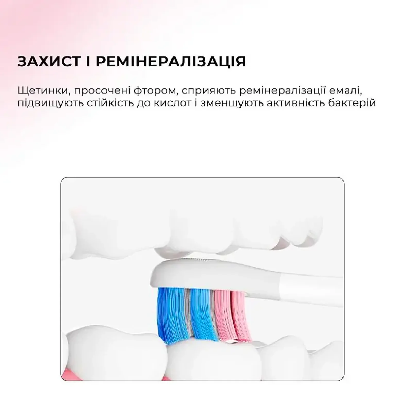 Електрична зубна щітка Oclean X Kids Set Electric Toothbrush Black (6970810557237) UA