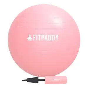 М'яч для фітнесу 65 см рожевий GBALL65PK FITPADDY UA