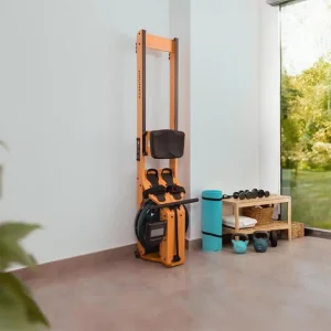 Гребной тренажер Cecotec Drumfit Rower 20000 Neptuno Wood (CCTC-07226) UA