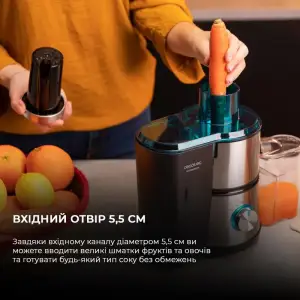 Соковитискач CECOTEC Juice&Fresh 400 Titan Black (CCTC-04153) UA
