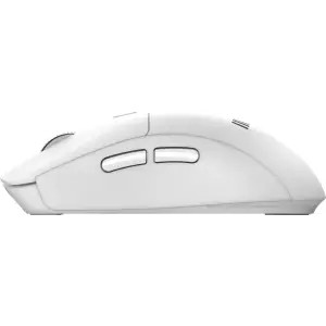 Комплект клавіатура + миша MSI K210 White (FORGE K210 W COMBO WHITE) UA