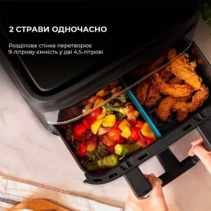 Мультипіч CECOTEC Cecofry Dual 9000 (A01 EU01 100149) UA