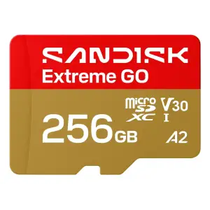 Карта пам'яті SANDISK Extreme GO SDXC 256GB UHS-I V30 A2 (SDSQXGN-256G-GN6MN) UA