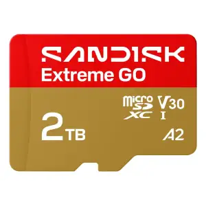 Карта пам'яті SANDISK Extreme GO SDXC 2TB UHS-I V30 A2 (SDSQXGN-2T00-GN6MN) UA