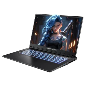 Ноутбук Dream Machines CI7-13620H 17