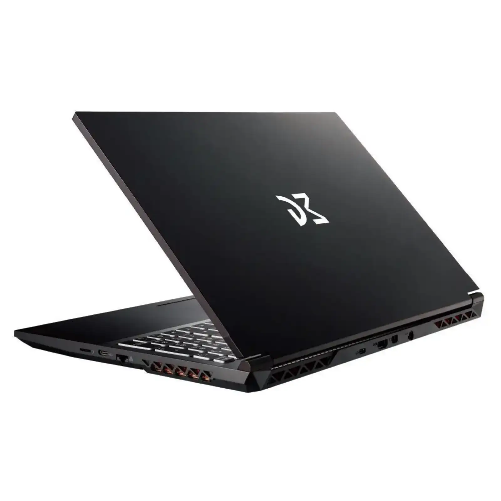 Ноутбук Dream Machines CI5-13420H 17