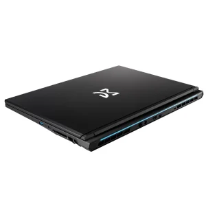 Ноутбук Dream Machines CI7-13620H 17