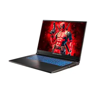 Ноутбук Dream Machines RG4070-17 (RG4070-17UA40) UA