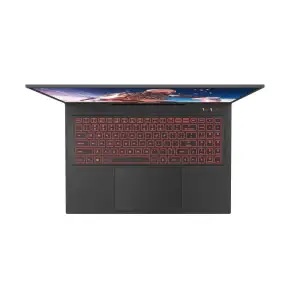 Ноутбук Dream Machines RG4070-17 (RG4070-17UA31) UA