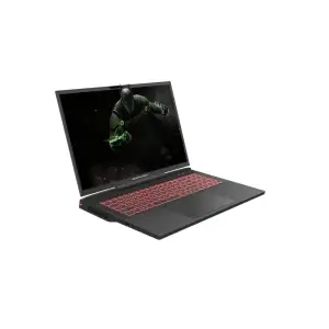 Ноутбук Dream Machines RG4060-17 (RG4060-17UA30) UA