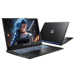 Ноутбук Dream Machines CI7-13620H 17