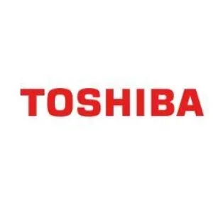 Гальмівний майданчик HOLD PAD 6LJ75294000 TOSHIBA UA