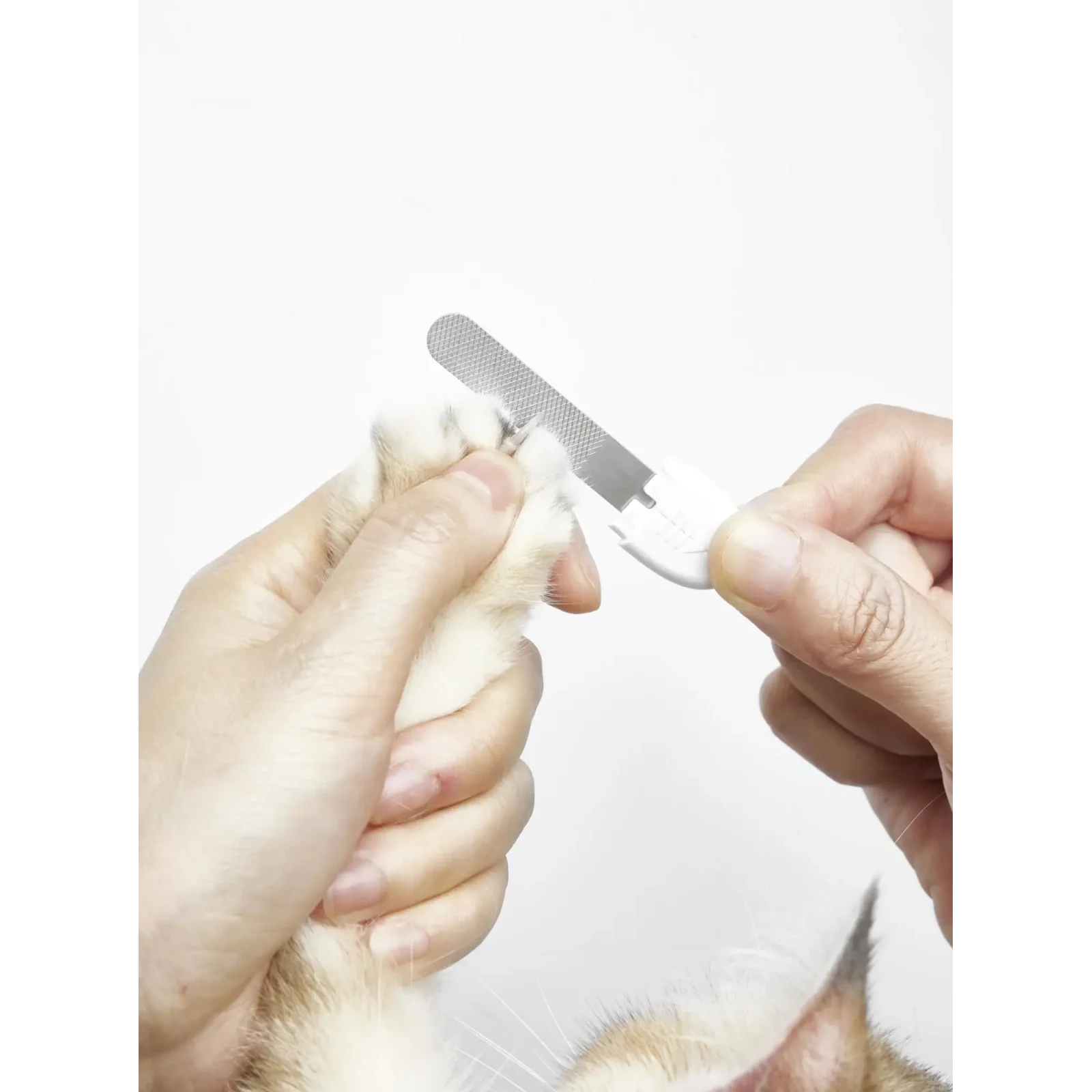 Кусачки PETKIT LED Pet Nail Clipper PRO PK2302 UA