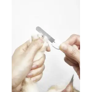 Кусачки PETKIT LED Pet Nail Clipper PRO PK2302 UA
