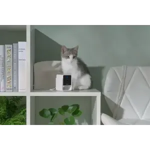 Компактна HD-камера Petcube Cam (CC10US) UA