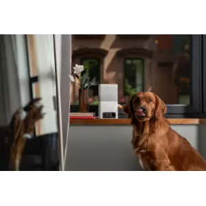 Інтерактивна HD-камера Petcube Bites 2 Lite (BL10US) UA