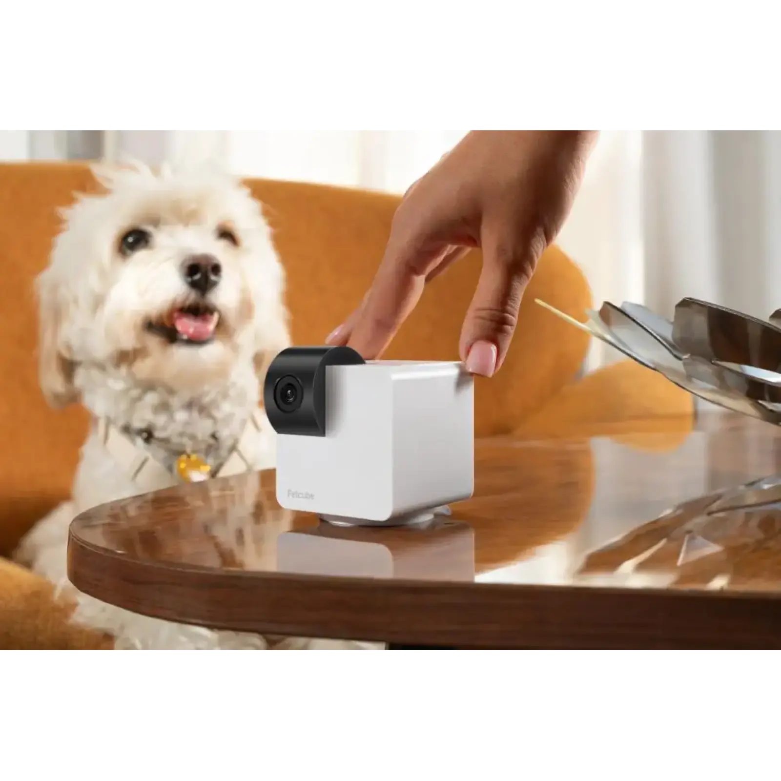 Компактна HD-камера Petcube Cam 360 (P36010US) UA