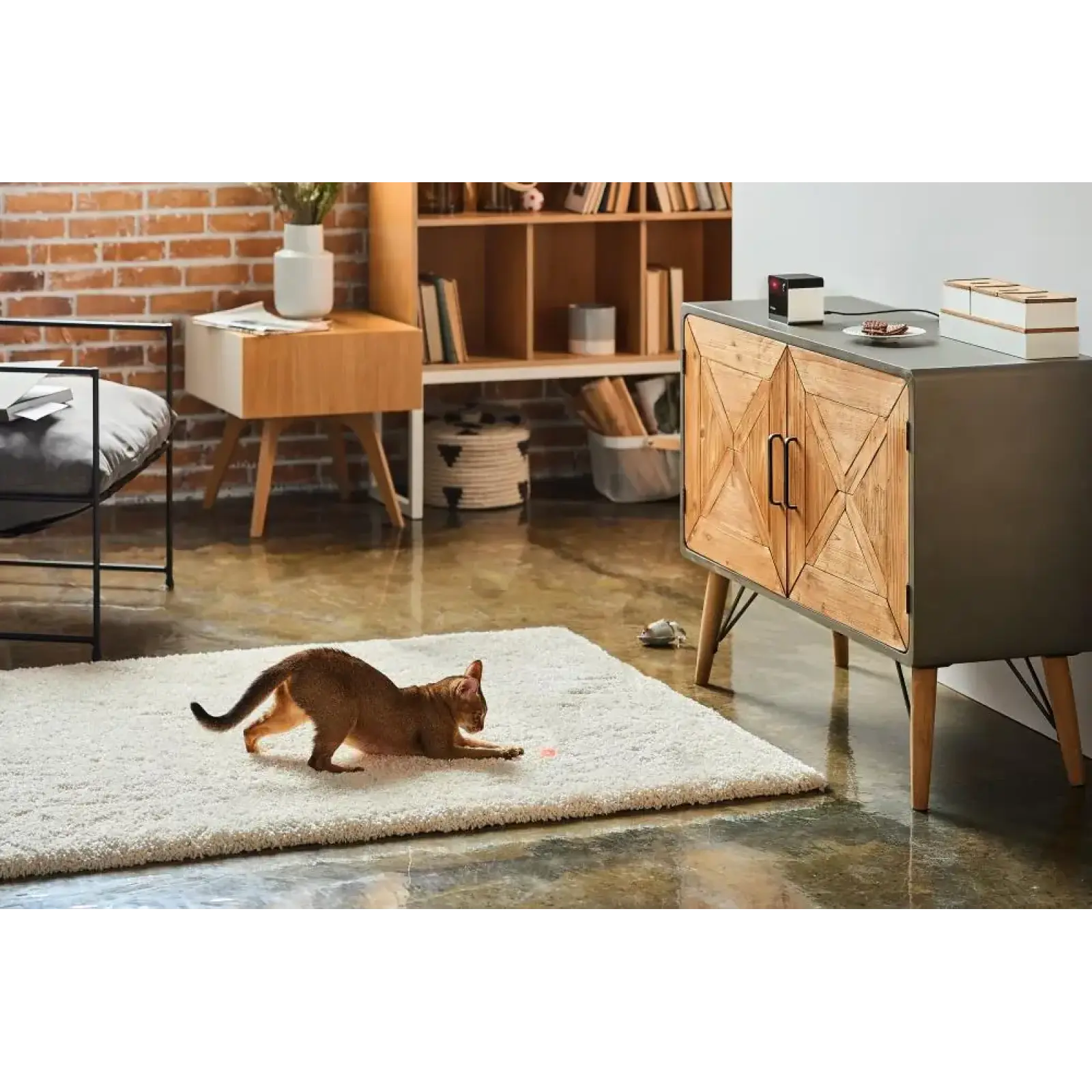 Компактна HD-камера Petcube Play 2 (PP20US) UA