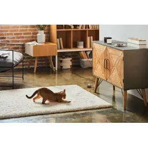 Компактна HD-камера Petcube Play 2 (PP20US) UA