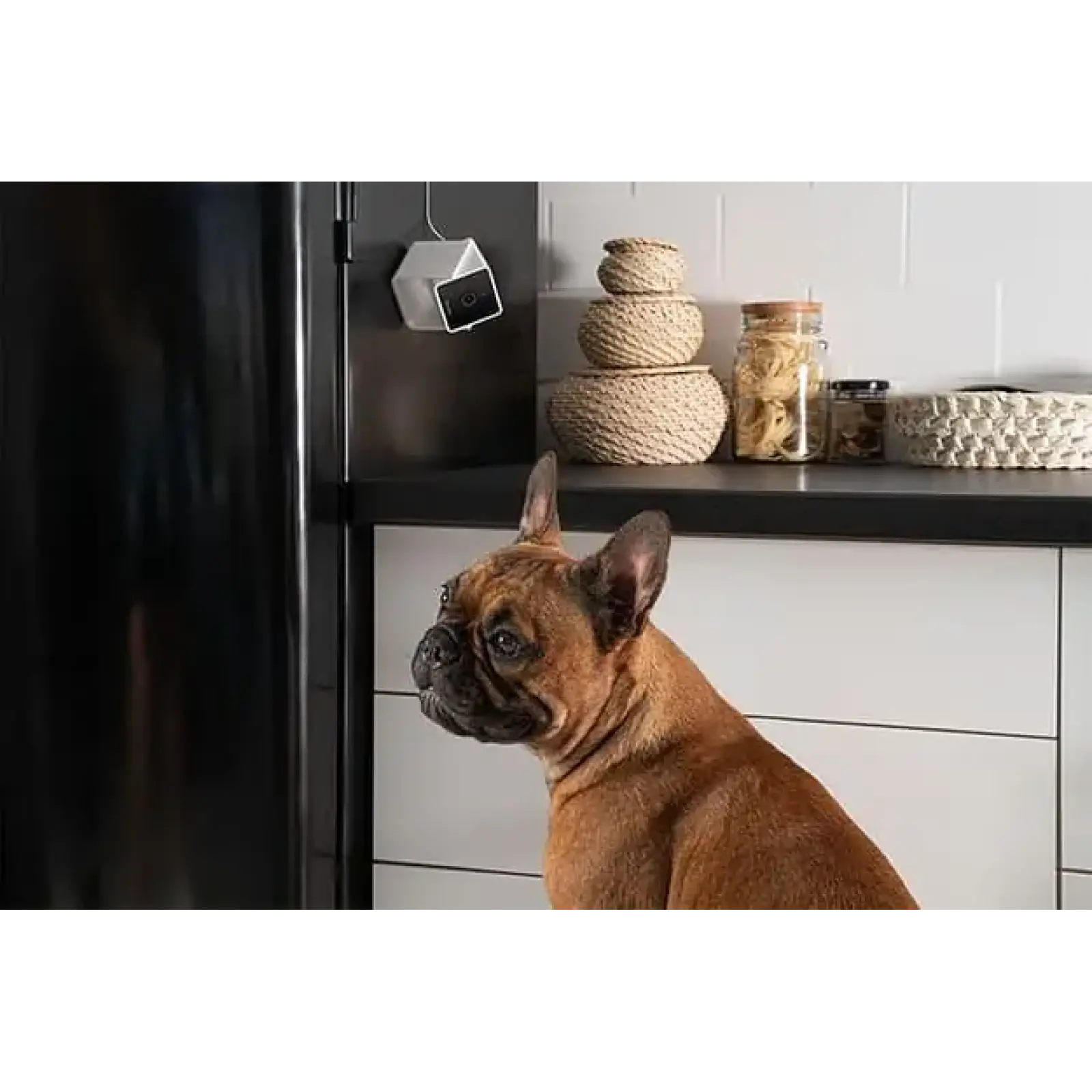 Компактна HD-камера Petcube Cam (CC10US) UA