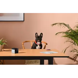 Компактна HD-камера Petcube Play 2 (PP20US) UA