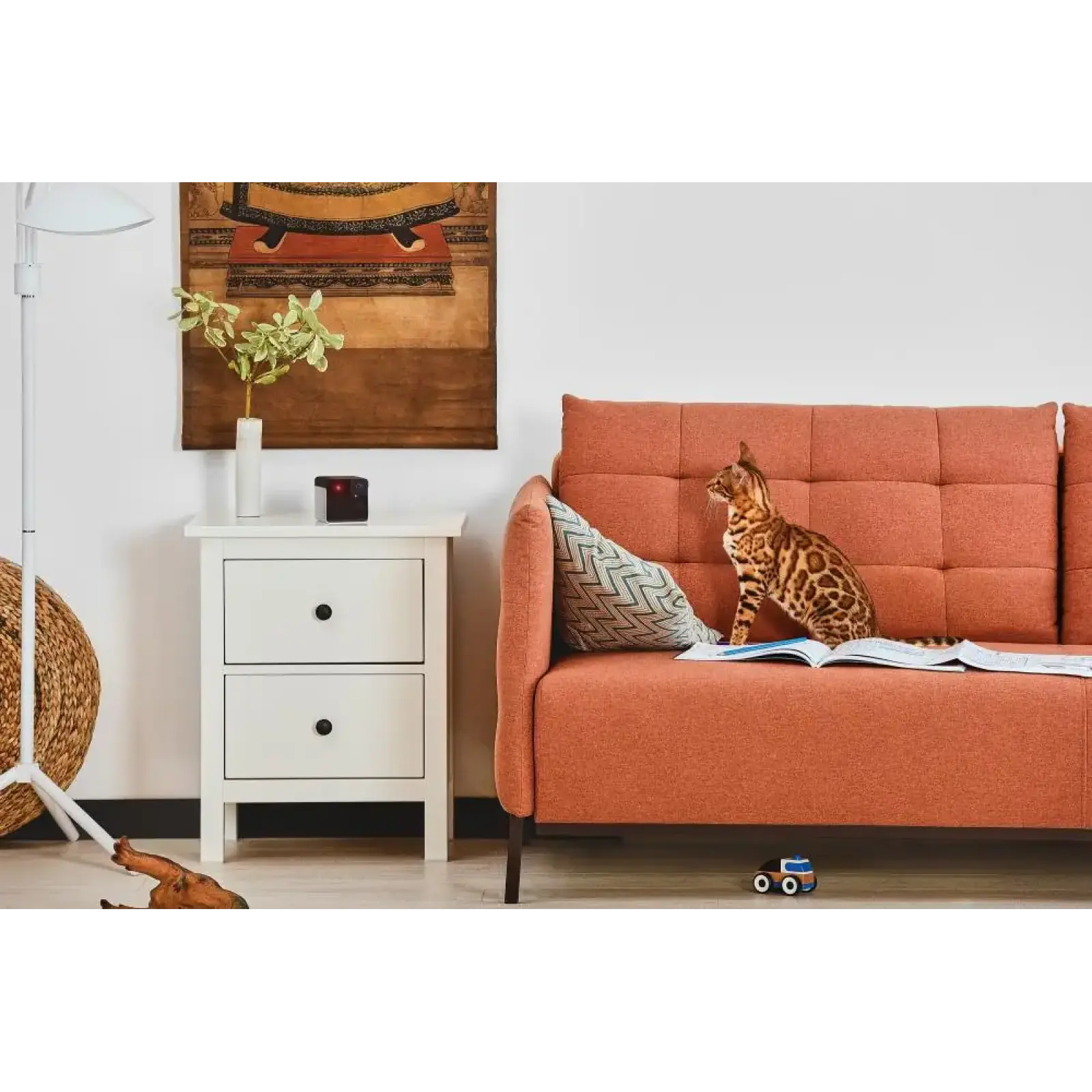 Компактна HD-камера Petcube Play 2 (PP20US) UA