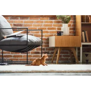 Компактна HD-камера Petcube Play 2 (PP20US) UA